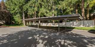 Scout apartments Gallery 40