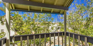 Spacious Townhome in University City for Rent! Gallery 18