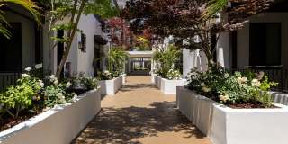 Vista Paradiso Gallery 7