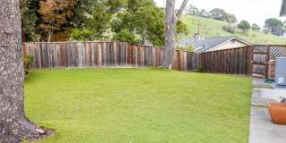 A Resort Style Home in Castro Valley!  Castro Valley Schools Gallery 14