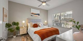 Renaissance at North Bend Gallery 22