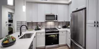 Luma at El Corazon Gallery 18