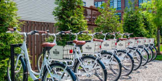 The Mason Gallery 33