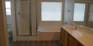 494 Newberry Springs Drive Gallery 23