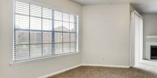 Forty200 Gallery 4