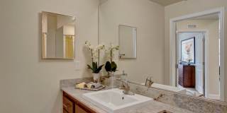 Hills at Sandy Station Gallery 10