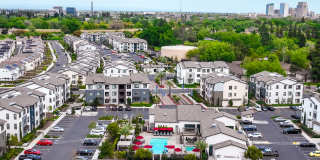 The Strand Gallery 74