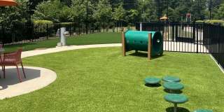 Alta Wren Gallery 41