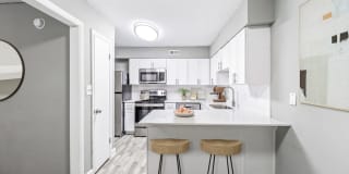 Elliot Roswell Gallery 2