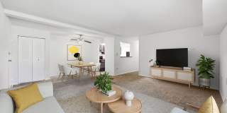 Fox Club Gallery 36