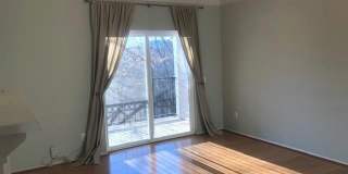 1601 SPRING GATE Drive Gallery 5