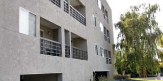 Downtown Deluxe 2 bd Penthouse! Views! NO HIDDEN FEES! Downtown Deluxe 2 bd Penthouse! Views! NO HIDDEN FEES! Gallery 1
