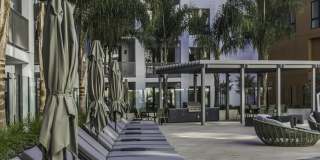 Maxwell at Bascom Maxwell at Bascom Gallery 39