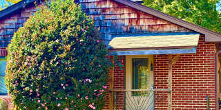 Black Mountain - Well Maintained Single Level Home Gallery 1