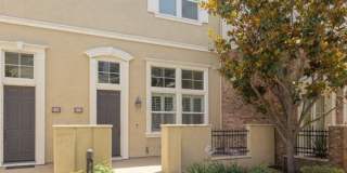 80 Fringe Tree 80 Fringe Tree Gallery 1