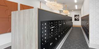 Alta Westwind Gallery 12