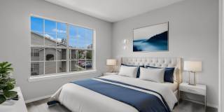 Carolina Pines Gallery 6