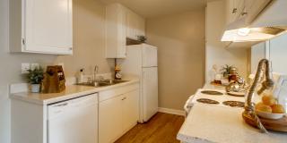 Las Ventanas Gallery 14