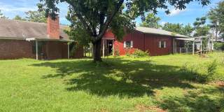 COMING SOON! 3 Bed 2 Bath on 2 Acres in Bullard! Gallery 20