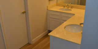 10336 Ridgewater Lane - 1 Gallery 8