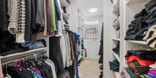 4912 N Winchester Avenue Gallery 17