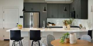 Serena Village Townhomes Gallery 2