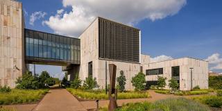 Vairo Village Gallery 52