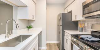 The Julep Gallery 59