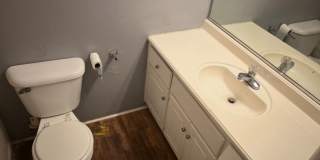 A Classic Act Gallery 8