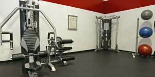 Morgan Park Gallery 5