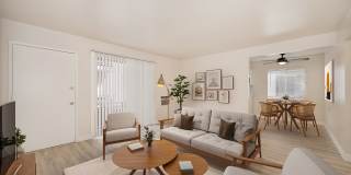 Camellia on Buck Gallery 1