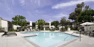 Breve Park Gallery 6