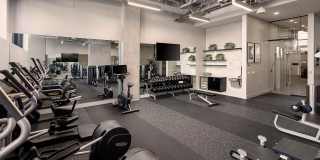 ALX Apartments Gallery 3