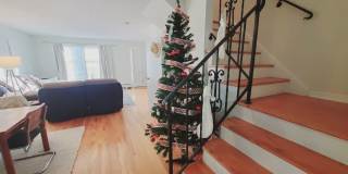 11 Elmwood Street Gallery 4