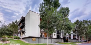 Sage at Panorama Gallery 23