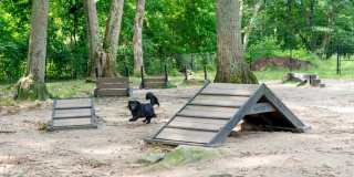 The Commons at Windsor Gardens Gallery 31