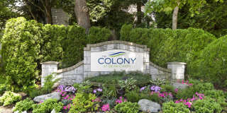 The Colony at Bear Creek Gallery 34