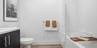 Palomar Station Gallery 11