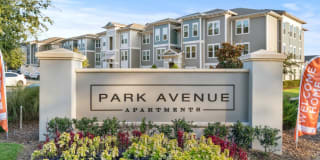 Park Avenue Apartments Gallery 61