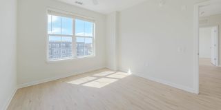 Alexan Harrison Apartments Gallery 54