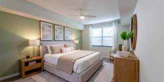 Mosaic Palms Gallery 18