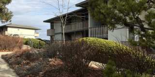 Palouse Landing Gallery 1