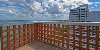 4015 BAYSHORE BLVD, #17F, TAMPA, FL 33611 Gallery 4