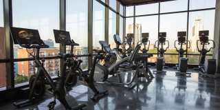 The Dillon Gallery 13