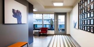 Premiere on Pine Gallery 18