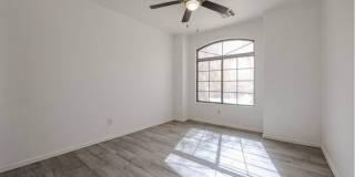 23928 West Desert Bloom Street Gallery 29