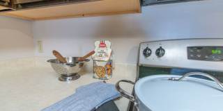 Adriana Court Gallery 23