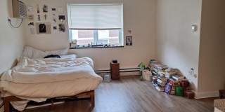 284 Harvard St. Gallery 4