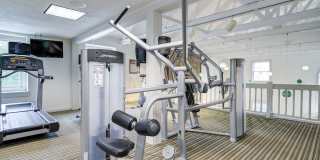 Wexford Village Gallery 25