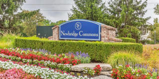 Newbridge Commons Gallery 54